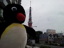20130430_124908.jpg