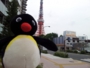 20130430_124951.jpg