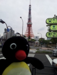 20130430_125906.jpg